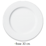 Plato Base Uso Rudo Plato Base Uso Rudo